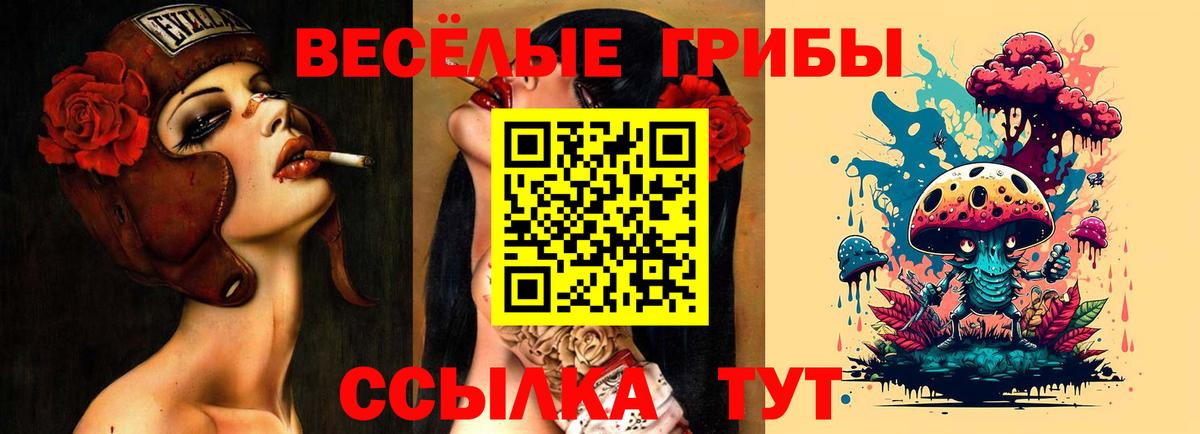 Псилоцибиновые грибы GOLDEN TEACHER Коркино